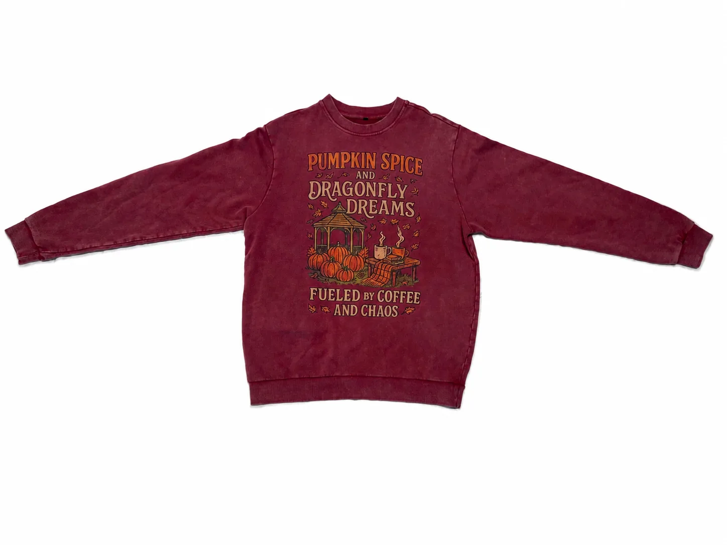 Vintage Snow-Washed Graphic Sweatshirt — 5